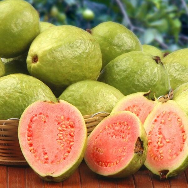 Hương ổi thực phẩm