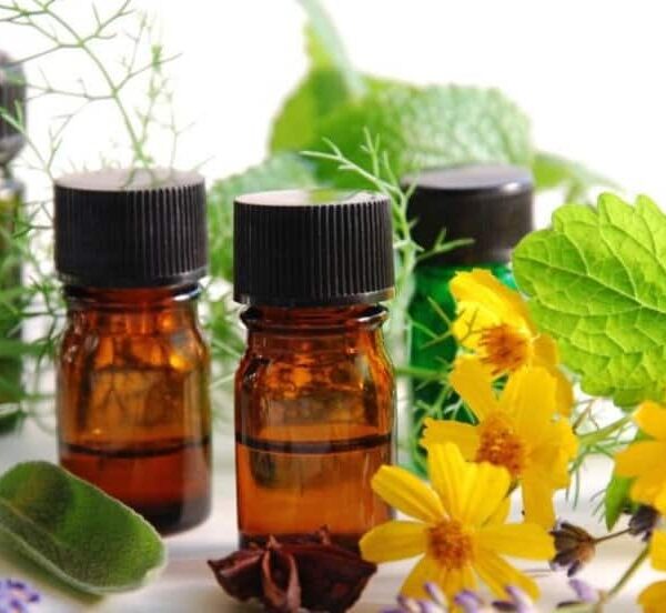 THẾ GIỚI HƯƠNG LIỆU NGỌT DẠNG BỘT
