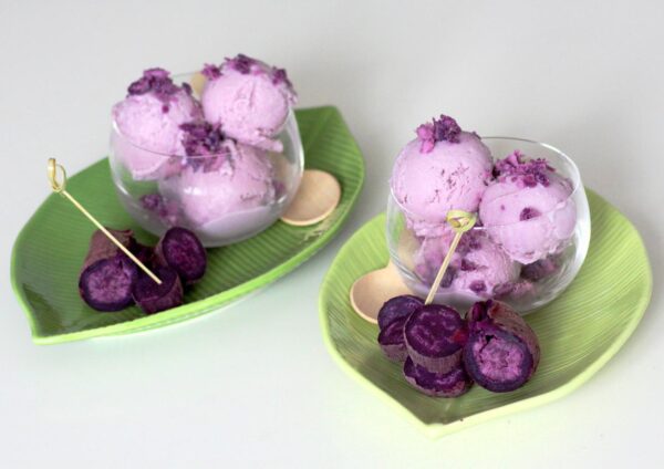 MÀU TÍM VIOLET