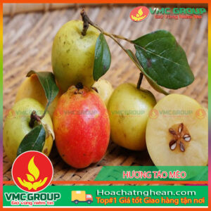 Mua hương táo tại Việt Mỹ chất lượng cao