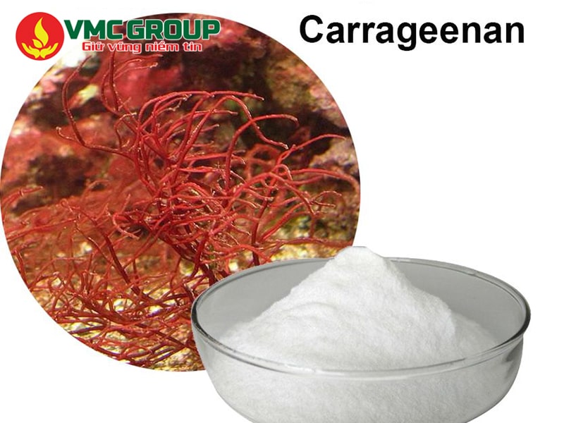 Tìm hiểu về Carrageenan