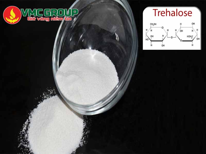 Đường tảo có dạng bột màu trắng