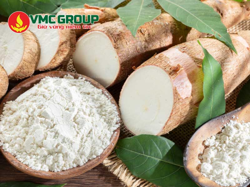 Tinh bột sắn biến tính trong dược phẩm