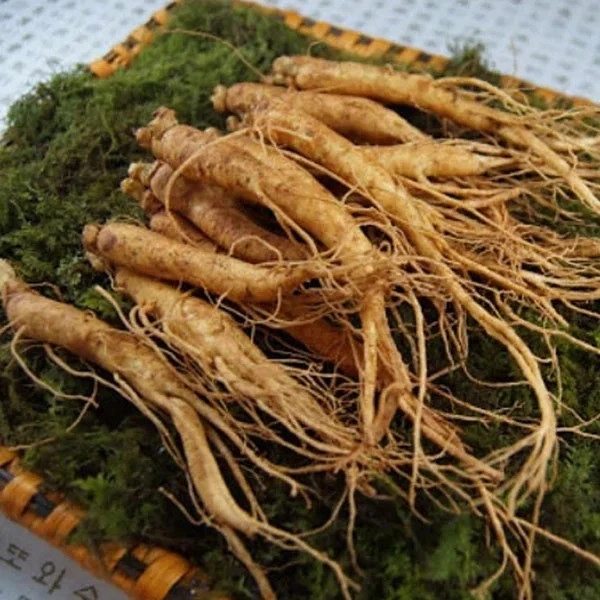 hương nhân sâm