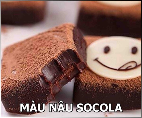 MÀU NÂU SOCOLA THỰC PHẨM