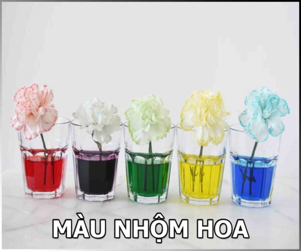 PHẨM MÀU NHUỘM HOA – CÁCH ĐỔI MÀU HOA