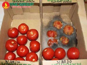 Vai trò của chất bảo quản trong ngành thực phẩm